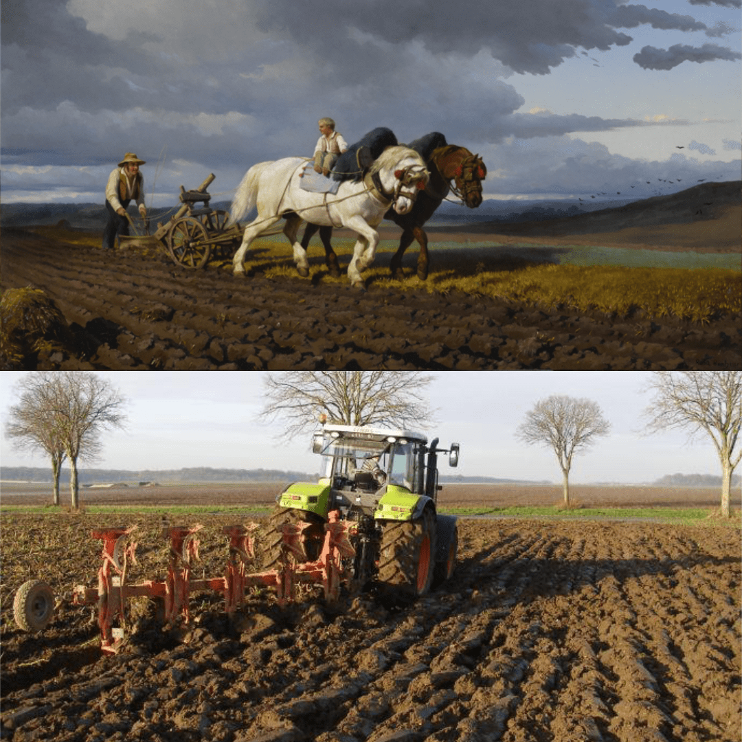 Dichotomie entre bicentenaire Rosa Bonheur et les champs : Bulle d'art et d'air