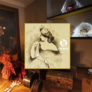 musair_immersion_rouen_madame_bovary le son au coeur d'une exposition d'objet